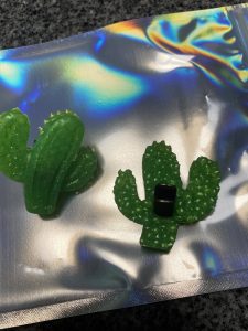 CAR FRESHIE VENTIES
CACTUS